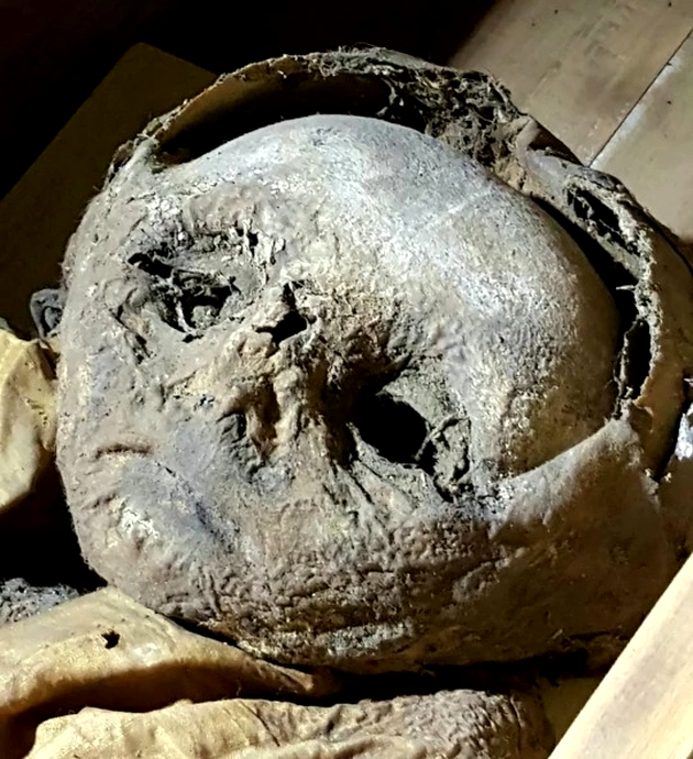 Cine a descoperit America, de fapt. Nu ar fi fost Cristofor Columb și nici vikingii - 