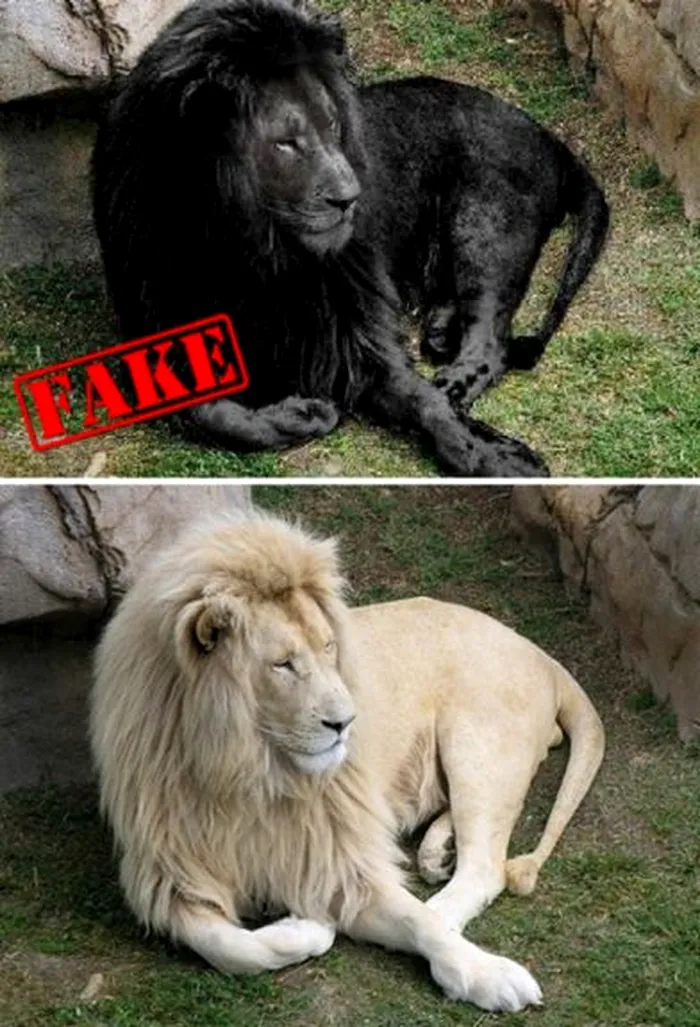 fotografii faimoase false 7