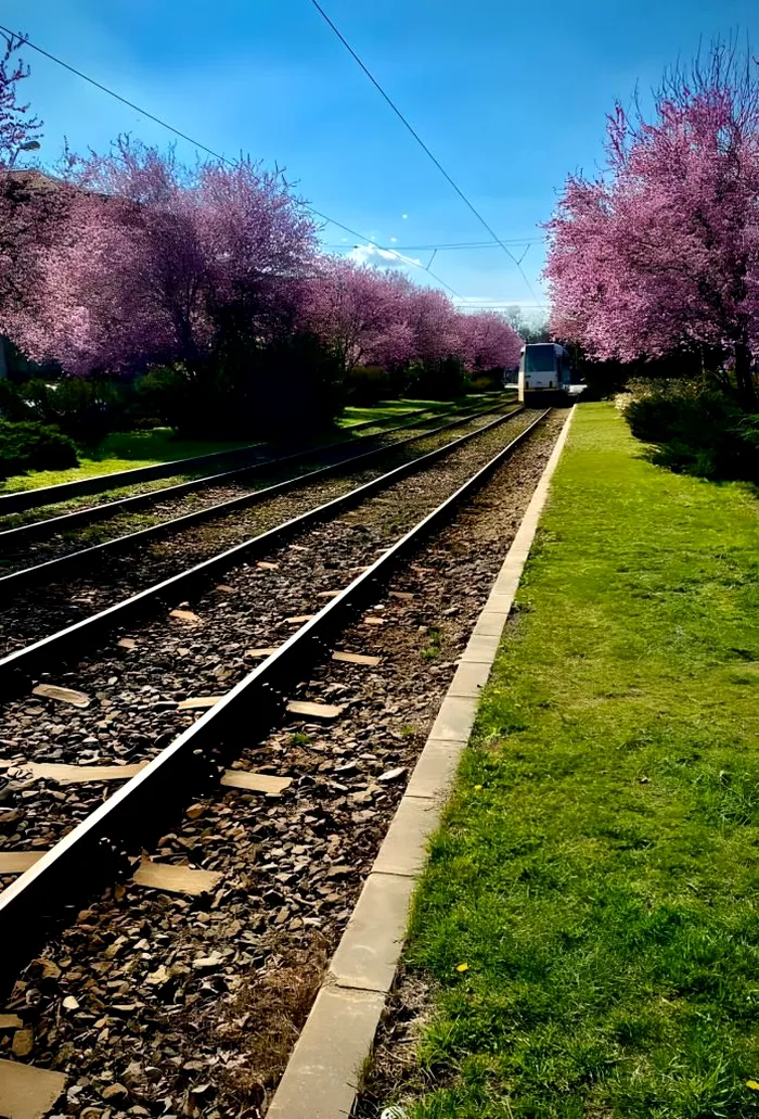 Cel mai instagramabil loc din București primăvara, este de o frumusețe rară. Puțini îl știu, deși e absolut minunat