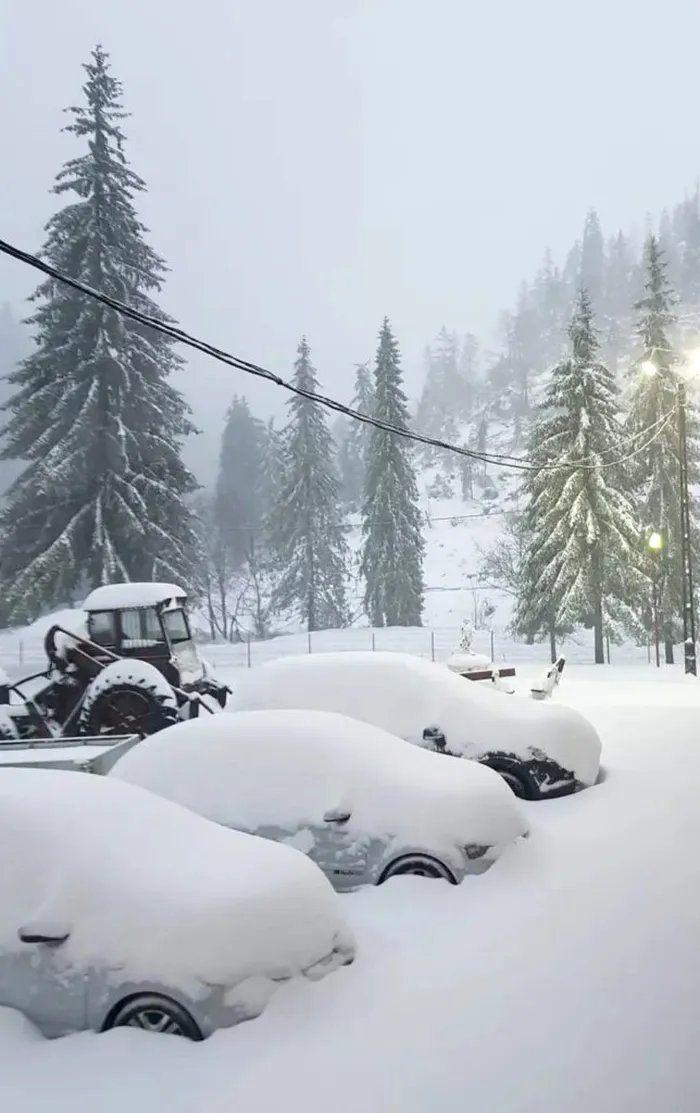 Vremea rea face prapad in Romania. Copaci cazuti, turisti blocati de nameti si acoperisuri luate de vant