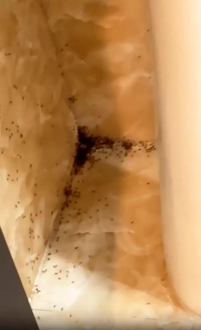 Descoperire înfricoșătoare într-o cameră de hotel. Ce a găsit o femeie când s-a cazat