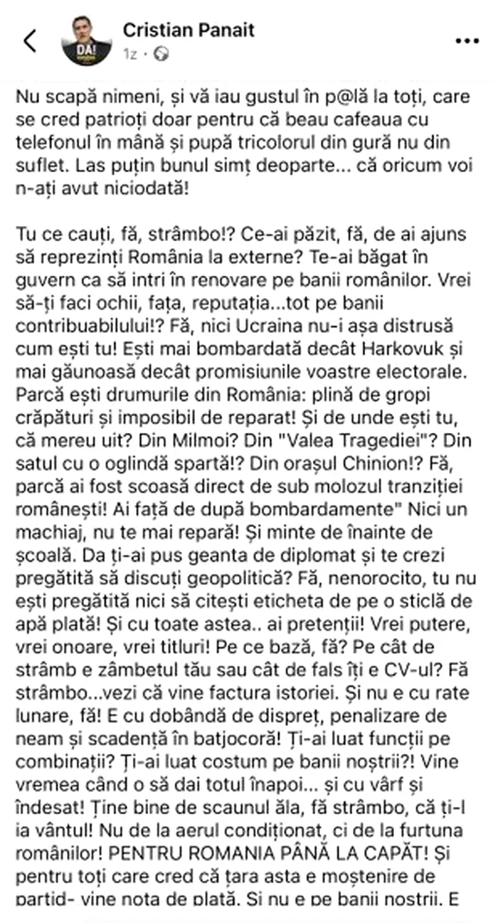 mesajul lui Cristian Panait