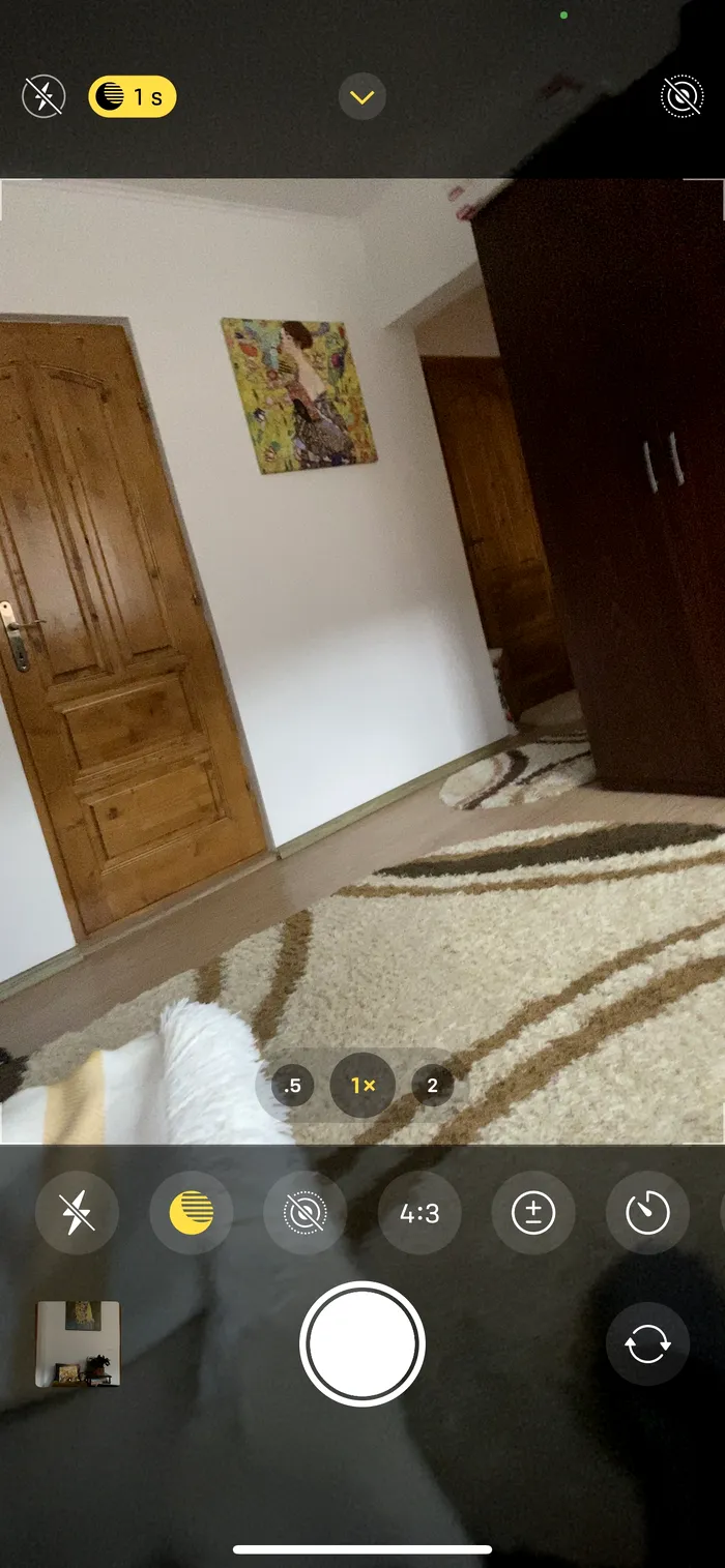 iphone 11 ios 14 camera