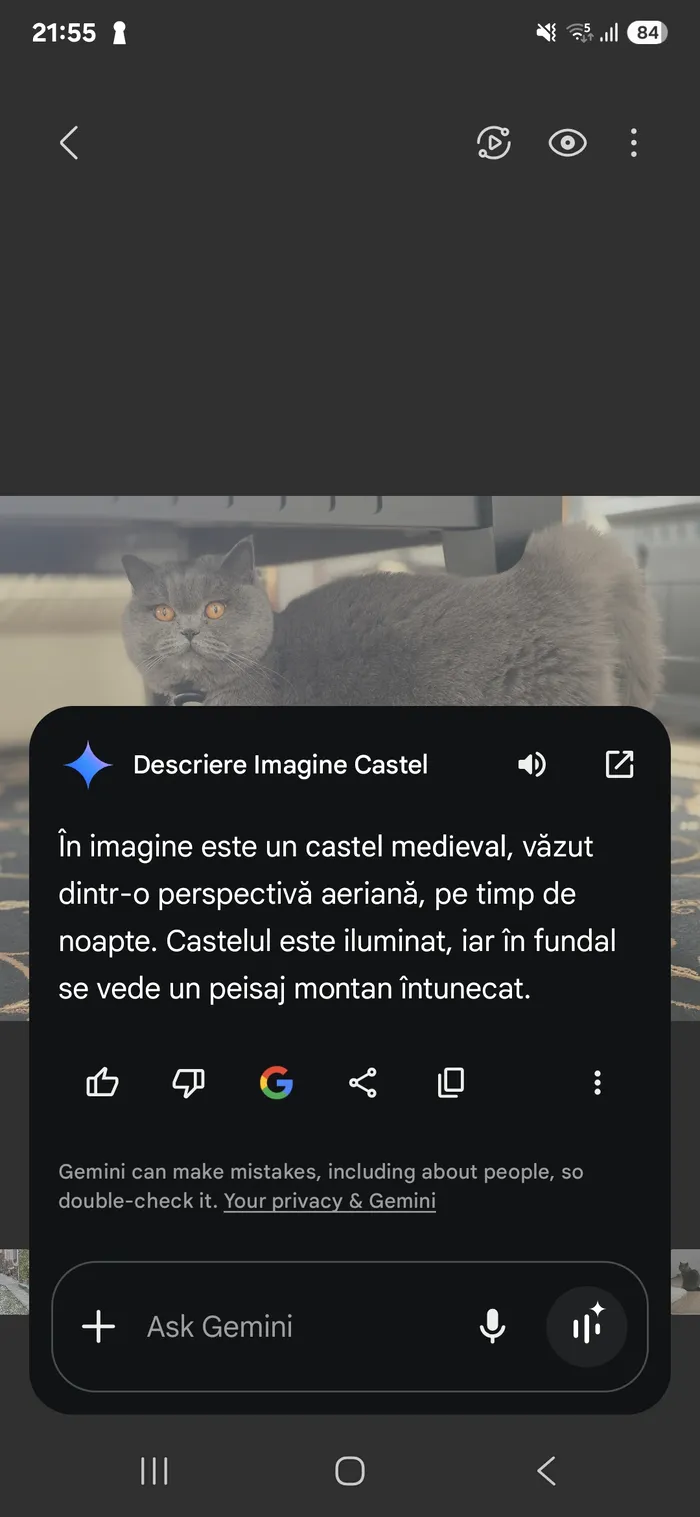 Google Gemini dă erori grave. Mai sus l-am întrebat ce este în imaginea cu pisica și ”a văzut” un castel