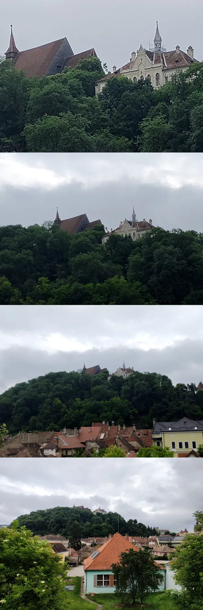 motorola razr 40 ultra - test zoom