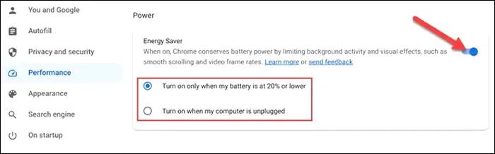 Google Chrome Performance