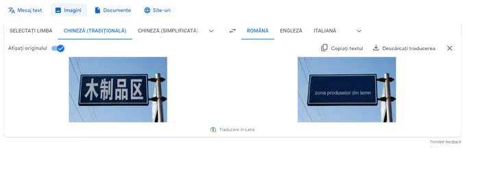 traducere-poza-google-translate
