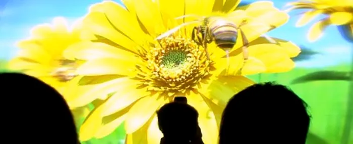 display Full HD auto-stereoscopic