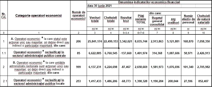 Companii de stat - încasări la 30 iunie 2021
