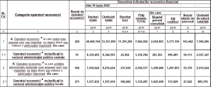 Companii de stat - încasări la 30 iunie 2022