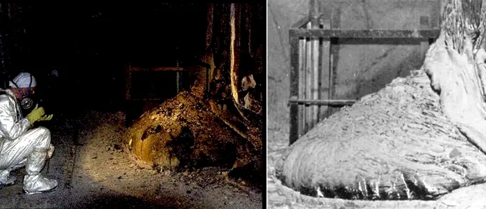 Picior elefant Cernobil Nuclear Accident Ucraina