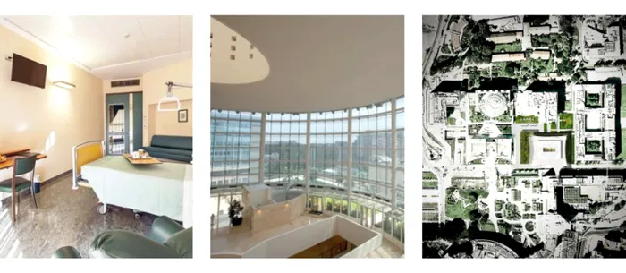 Ce se întâmplă, de fapt, cu Mario Iorgulescu la clinica din Italia. Familia, gest disperat