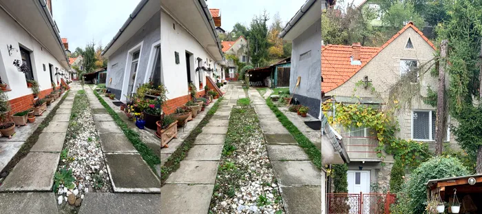 Colaj zoom 0,5X, 1X și 5X
