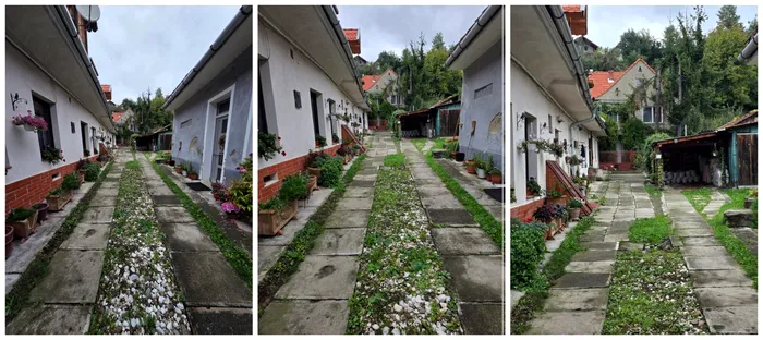 Galazy Z Fold7 – test zoom 0,6x, 1x, 2x