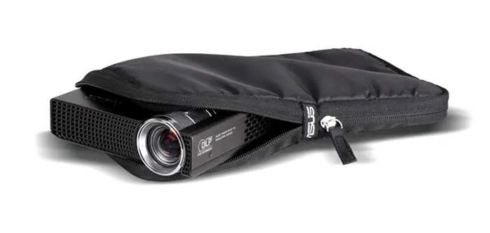 carrying_bag_with_p1