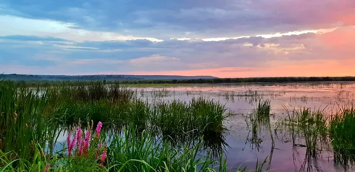 Delta Neaslovului Comana