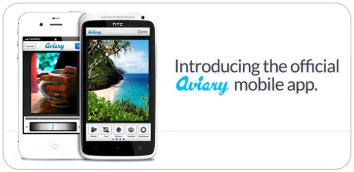 Aviary