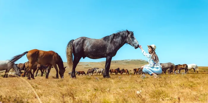 Ce înseamnă când visezi un cal care te atacă