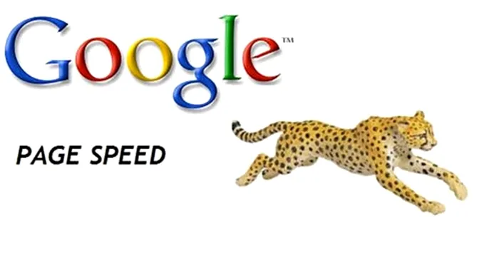 Google Page Speed