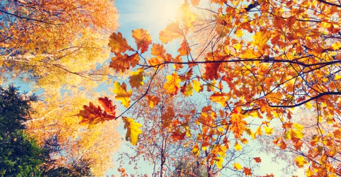 Prognoza meteo pentru jumăgtatea lunii noiembrie