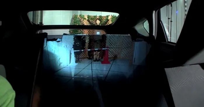 Keio University camuflaj optic