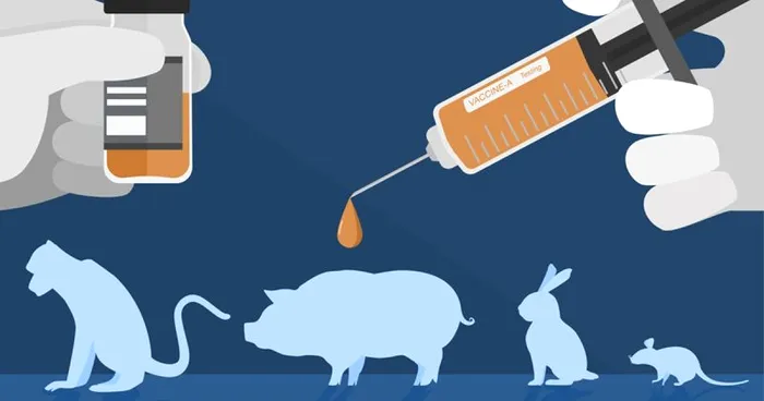 Experimente pe animale