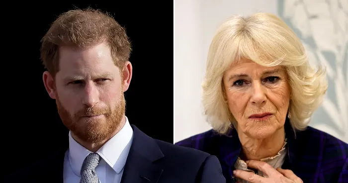 Regina Camilla, jignită de Prințul Harry? Ce i-ar fi spus mamei sale vitrege, iar e iz de scandal în Familia Regală
