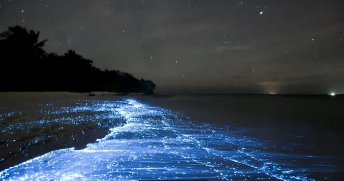 Se luminează noaptea și există în România. Plajele ca în Maldive care te vor lăsa cu gura căscată