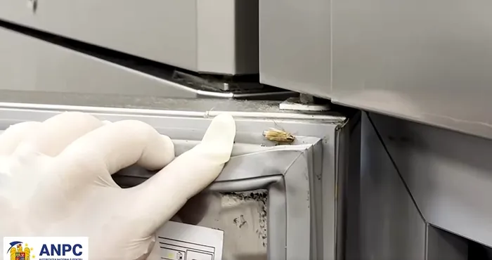 Momentul in care Cristian Popescu Piedone si-a pierdut cumpatul