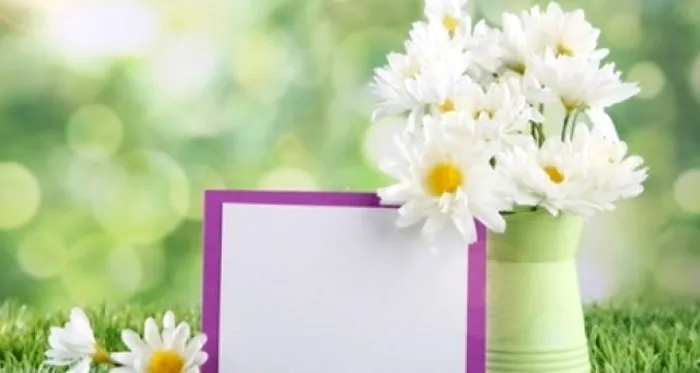 Mesaje pentru sfinții Apostoli Petru și Pavel