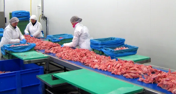 Românii schimbă legea în Germania