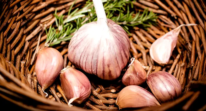 Cele mai bune soiuri de usturoi pe care sa le cresti in gradina ta. Sunt aromate si recolta e bogata