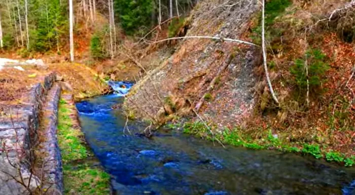 paradis sălbatic românia