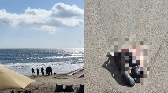 Picior descoperit pe o plaja din Bali