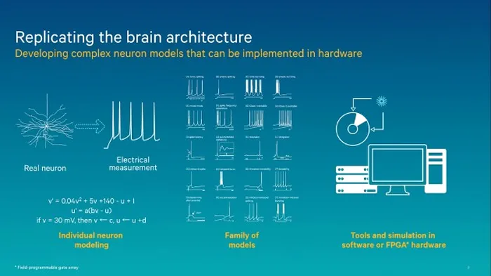 brain architecture
