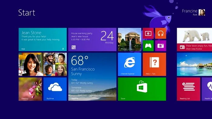 bug Windows 8.1