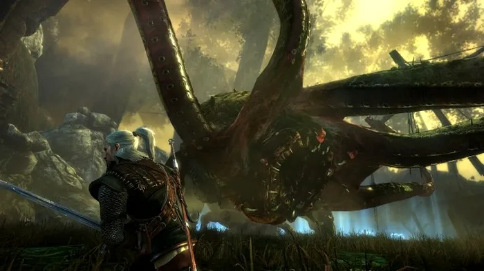 The Witcher 2 Assasins Of Kings