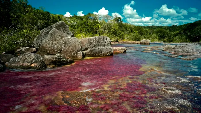 Caño Cristales, Columbia