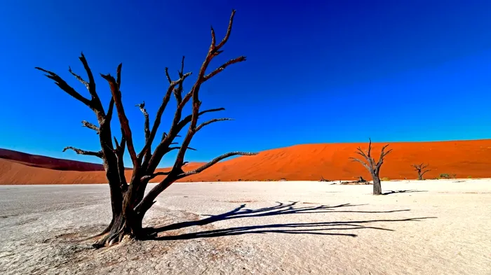 Deadvlei, Namibia