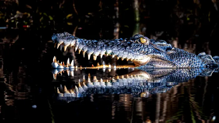Nature Photography Contest