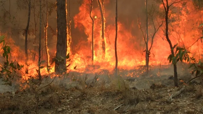 Incendii de vegetație în Australia