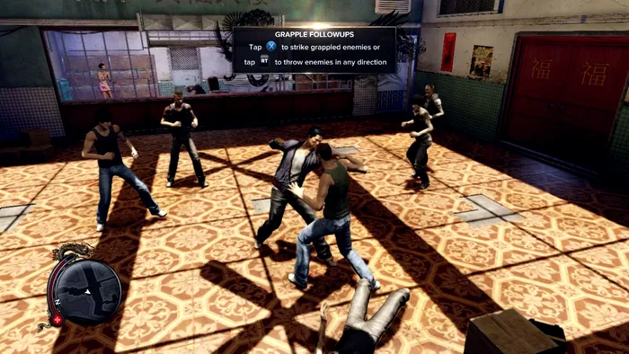 Sleeping Dogs Fighting