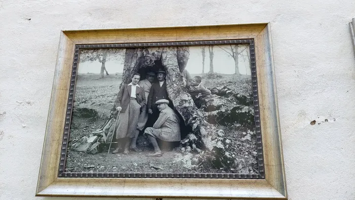 Kováts Árpád