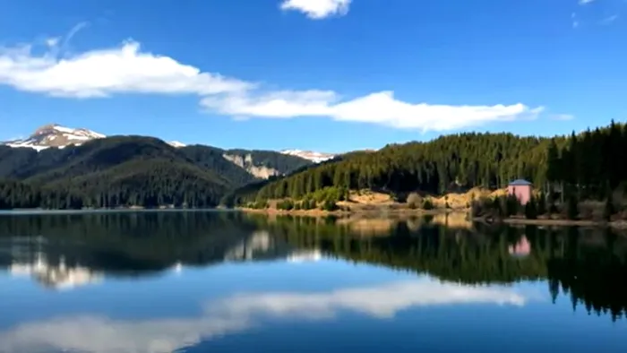 paradis sălbatic românia