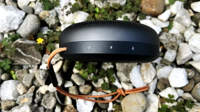 Bang & Olufsen Beosound A1 2nd Gen 2