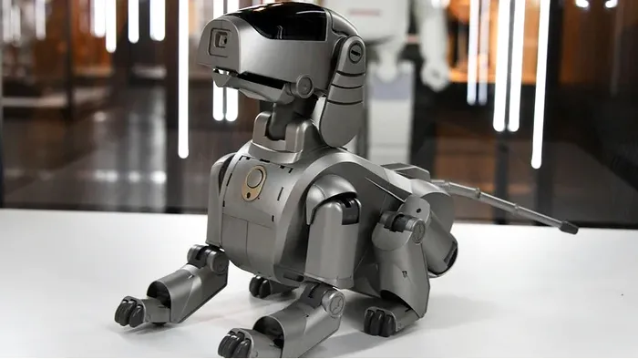 aibo