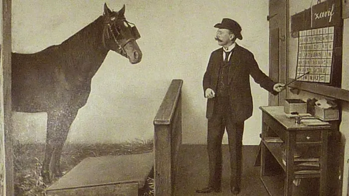 Calul care știa matematică. Cum a ajuns Hans să fie atracția numărului unu a vremurilor, experimentul de succes