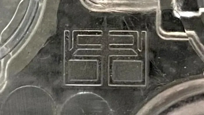 initialele cristinei balan pe bateriile Tesla Model S