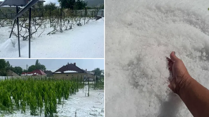 neamț furtună grindină vie 