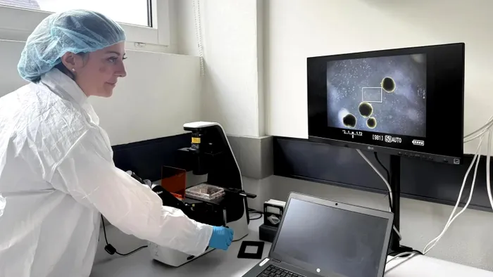 Cercetători din Vevey, Elveția, creează biocomputere obținute din celule de piele umană